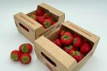 Strawberry Packaging