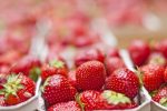 Sustainable strawberry packaging